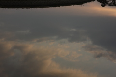 another SKY