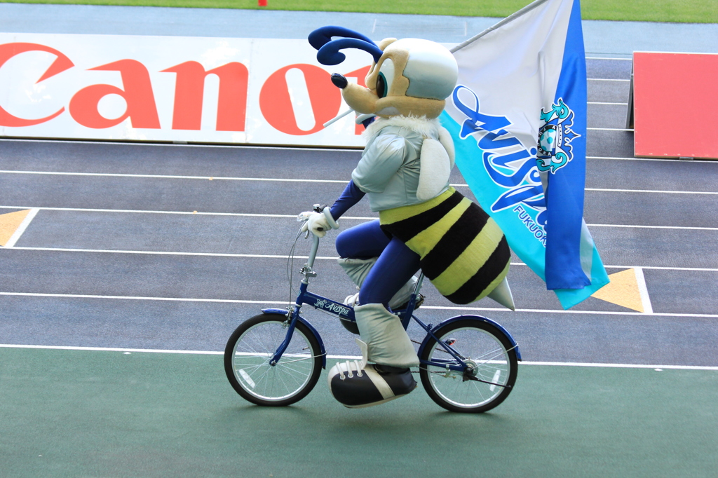 ファンサービス