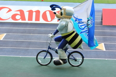 ファンサービス