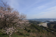 空×海×桜