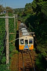 琴電
