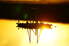 夕陽