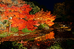 紅葉