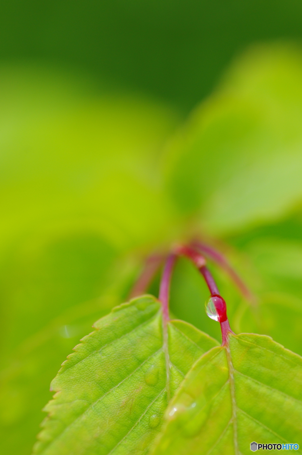 雨上がり