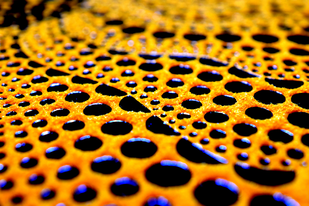 Trypophobia
