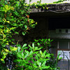 池島の風景㉑　「共同温泉」