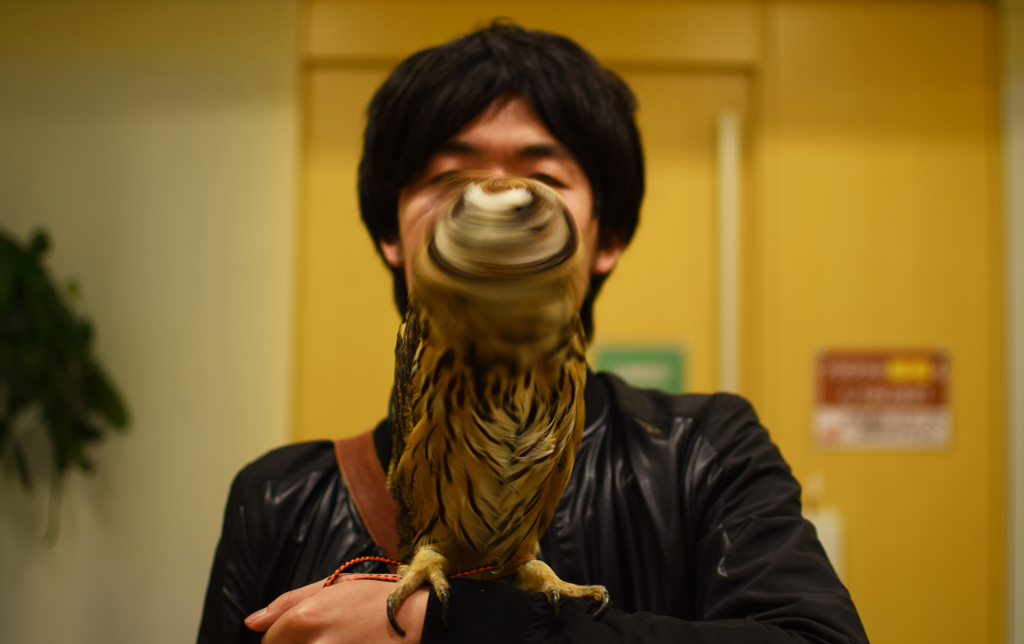 ねじれ