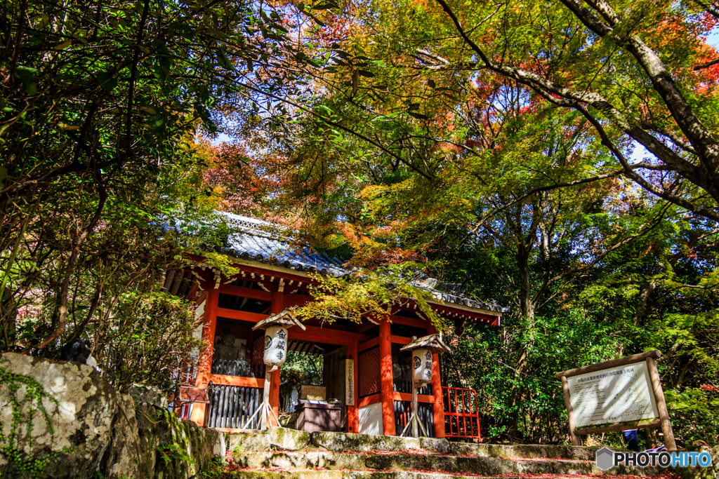 金蔵寺の紅葉