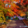 安楽寺の紅葉