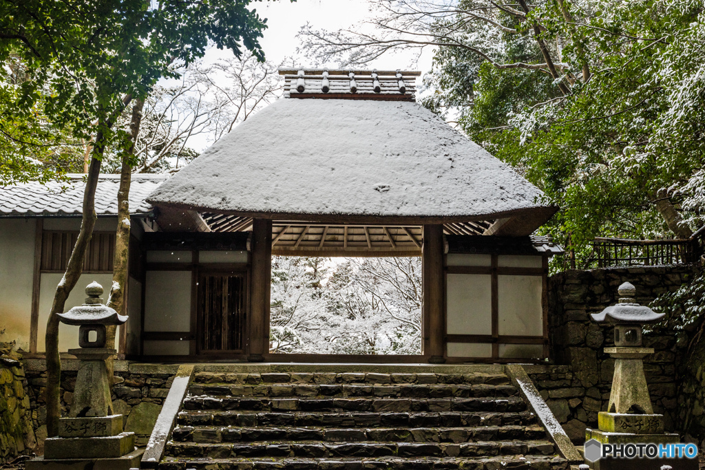白い世界の山門