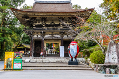 三井寺のサンタクロース