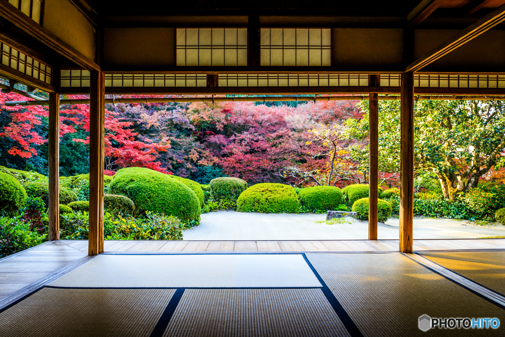詩仙堂の額縁紅葉