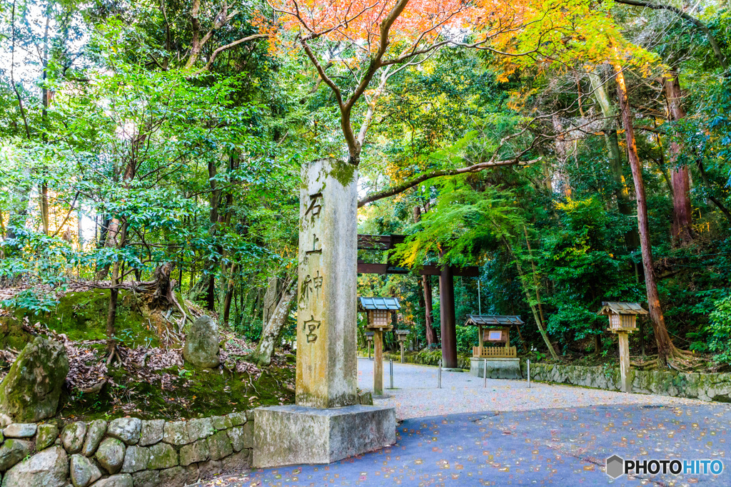 石上神宮の大鳥居