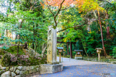 石上神宮の大鳥居