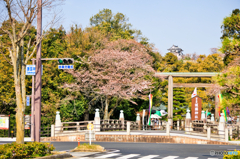 護國神社と天守閣