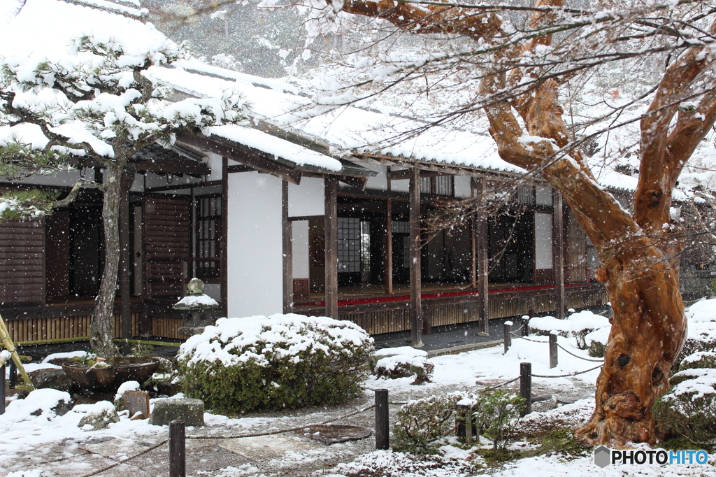 雪舞う圓光寺
