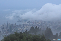 神戸の雲海
