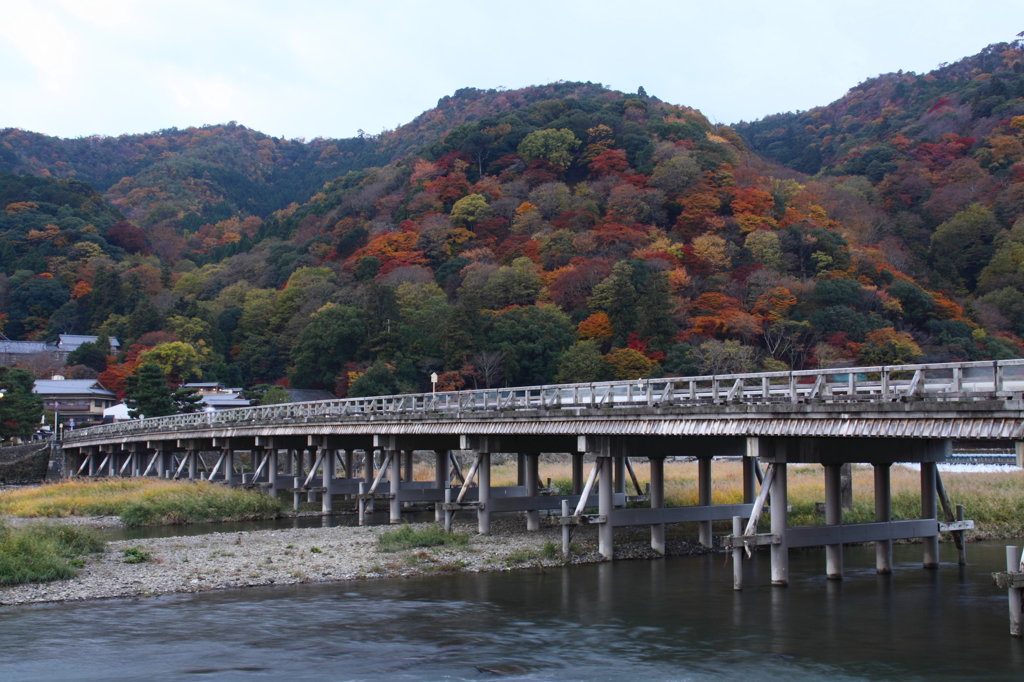 渡月橋と紅葉