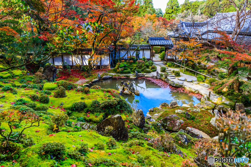 西明寺の名勝庭園