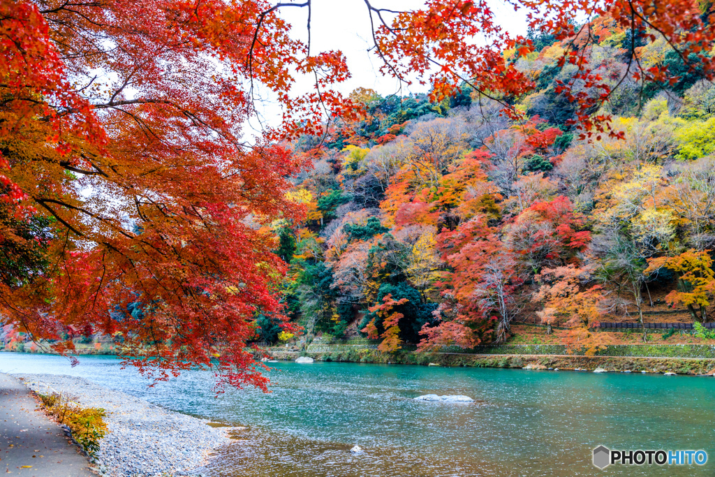 保津川の流れに