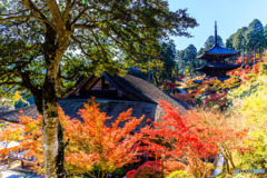 常楽寺の秋景Ⅱ