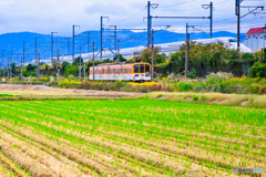 秋を駆ける鉄道