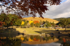 奈良公園の秋