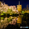 東寺の夜桜庭園Ⅲ