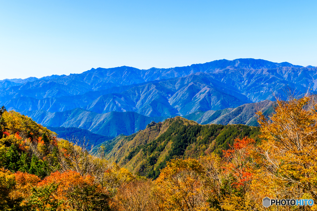 大台ヶ原の紅葉