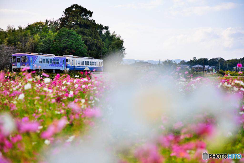 カモフラージュ鉄道
