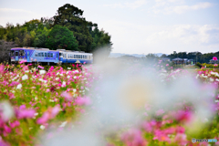 カモフラージュ鉄道