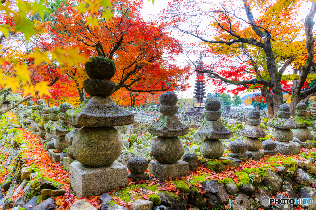化野念仏寺の秋