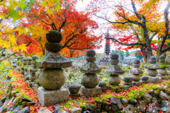 化野念仏寺の秋
