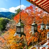 吊り灯籠と紅葉