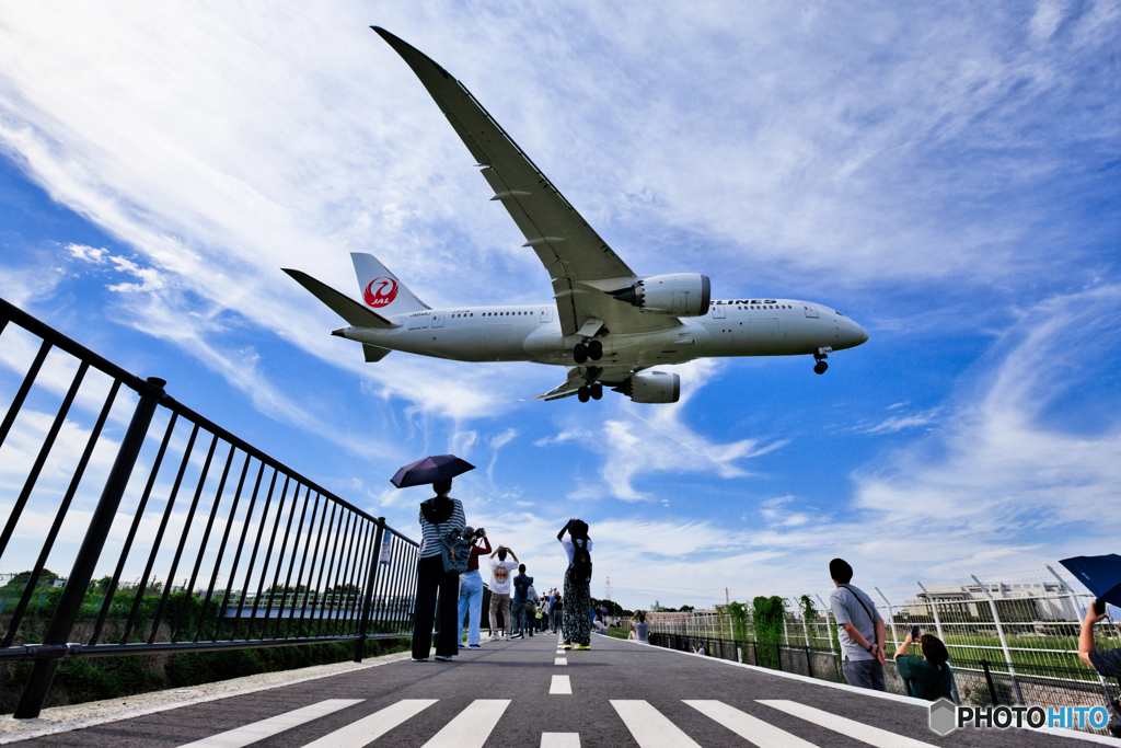 千里川横断中（Ⅳ）