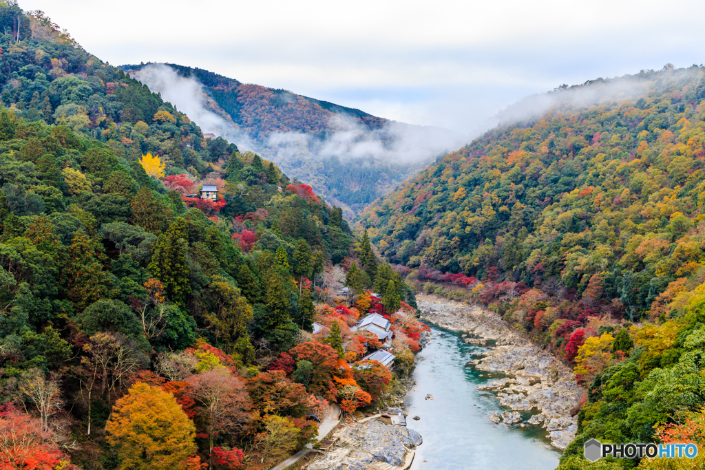 嵐山の寒い朝