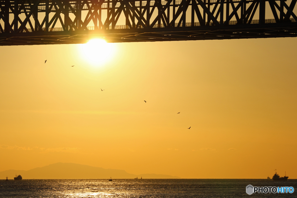 海峡の夕日に舞う