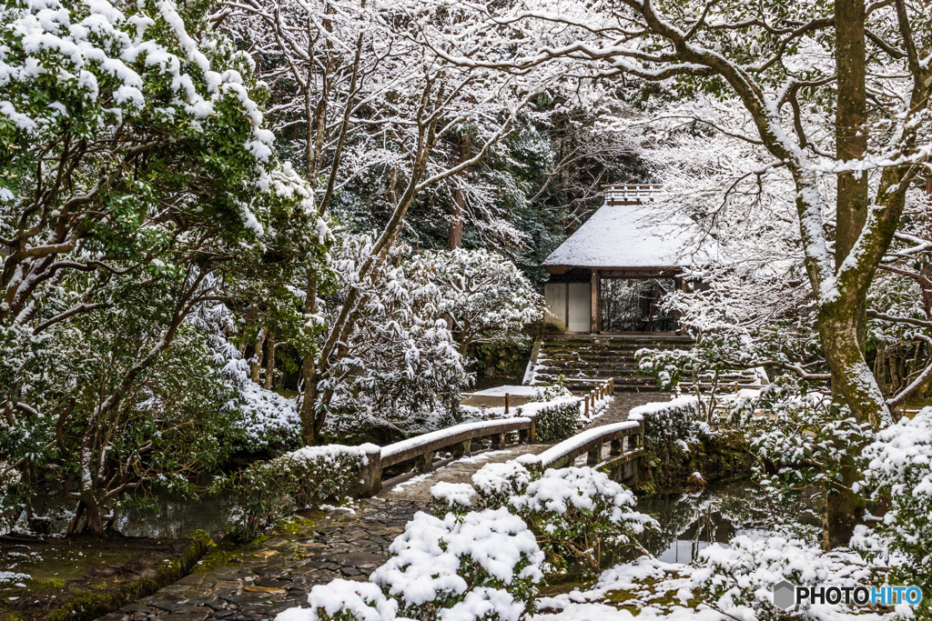 法然院の雪景