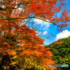 三原色の嵐山
