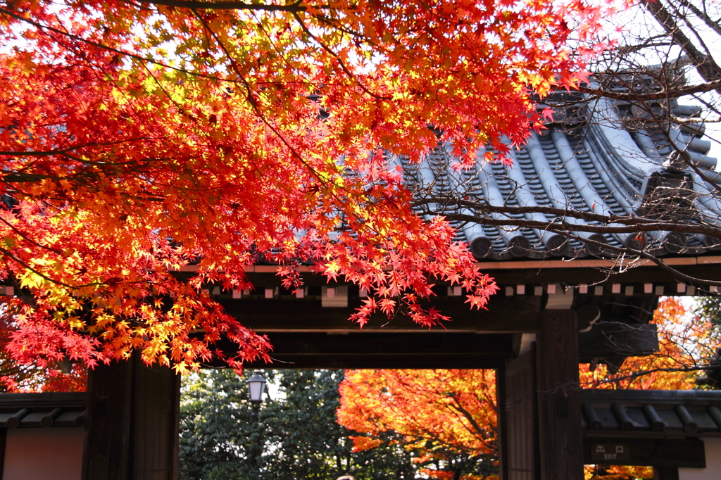 龍安寺山門