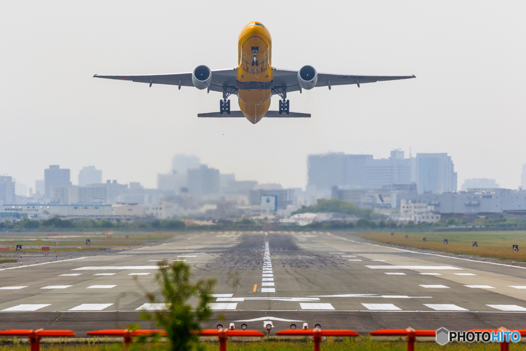 Morning Flight