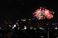 彩りの花火