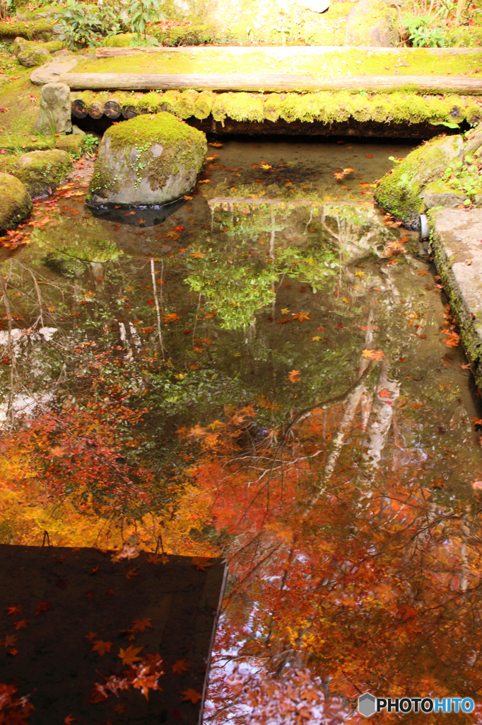 西明寺の水鏡