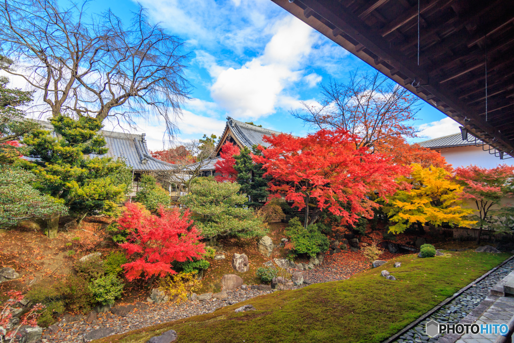 裏方丈庭園（Ⅰ）