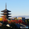 晩秋の八坂の塔