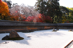 晩秋の石庭