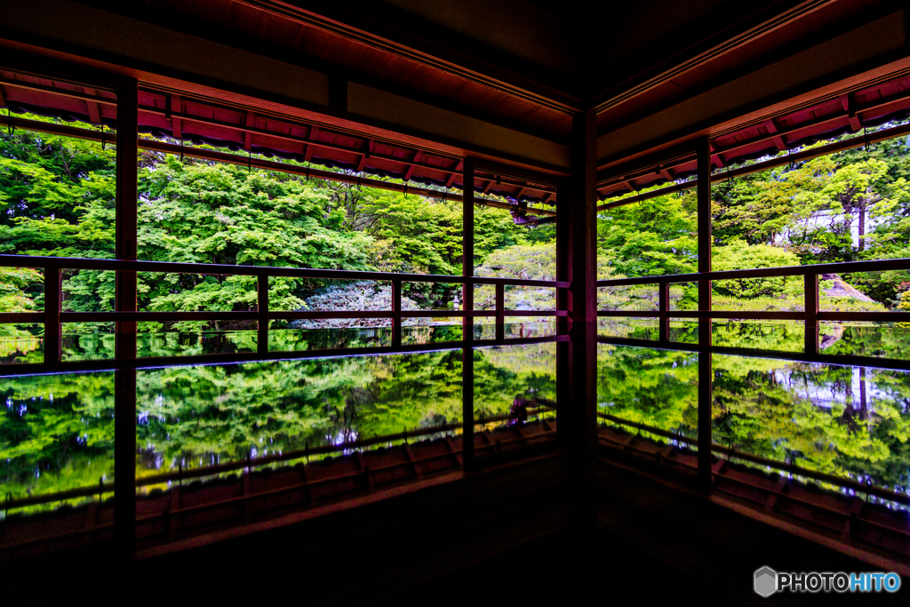 新緑の旧竹林院Ⅱ
