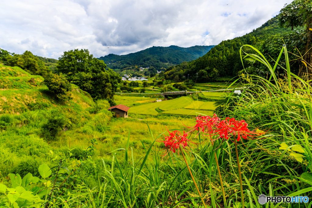 案山子ロード稲渕
