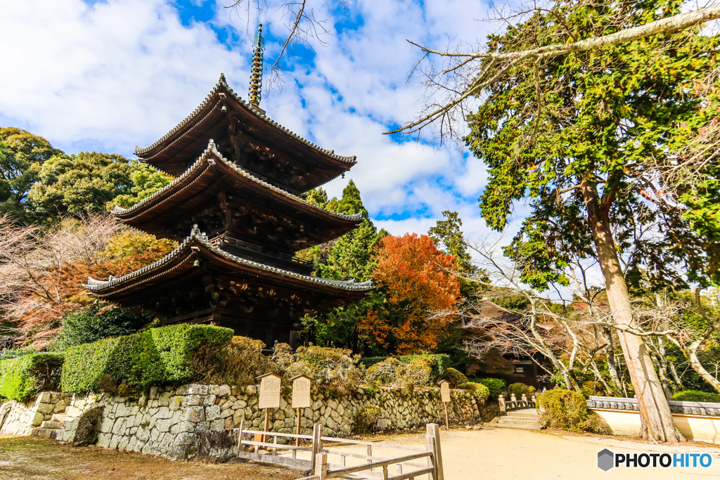 三井寺三重塔