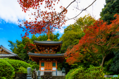 二重塔と紅葉Ⅱ